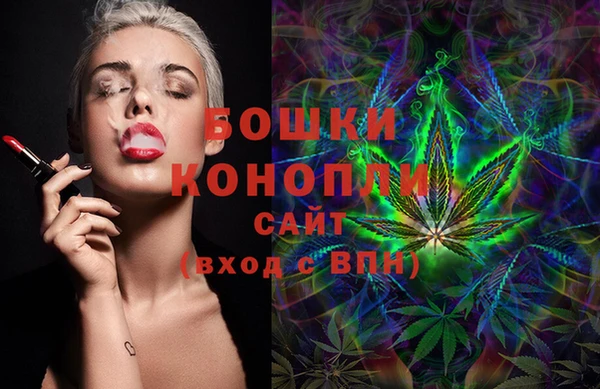 spice Кинешма