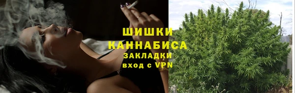 PSILOCYBIN Касимов