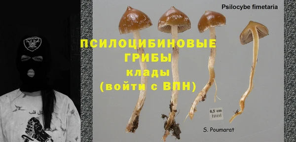 PSILOCYBIN Киреевск