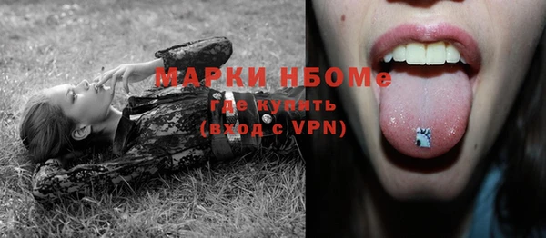 гидра Карпинск
